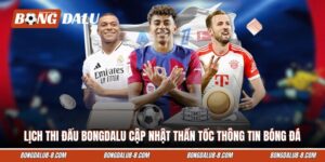Lịch Thi Đấu Bongdalu Cập Nhật Thần Tốc Thông Tin Bóng Đá