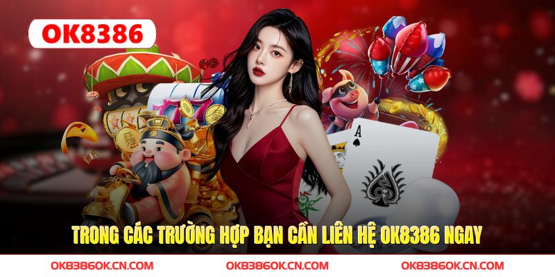 Trong các trường hợp bạn cần liên hệ OK8386 ngay